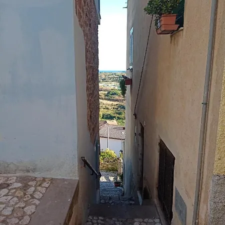 Casetta Leonardo *
